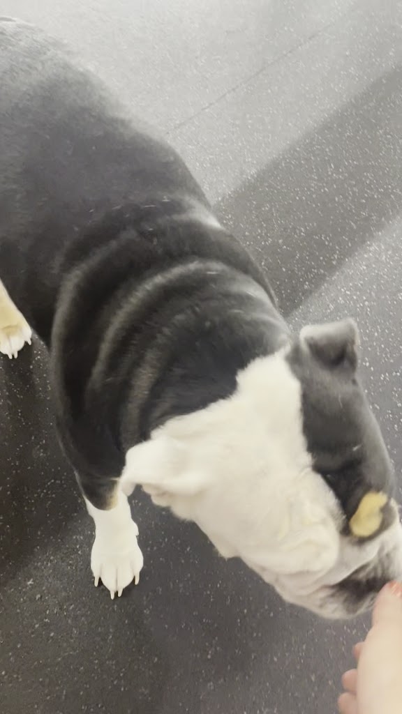  The Foundation Olathe 24hr Gym