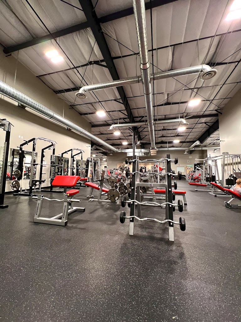  Results Gym & Fitness