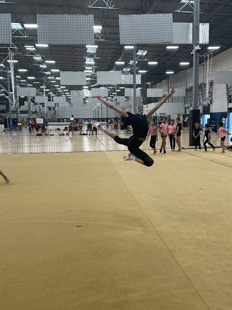  Nimble Rhythmic Gymnastics