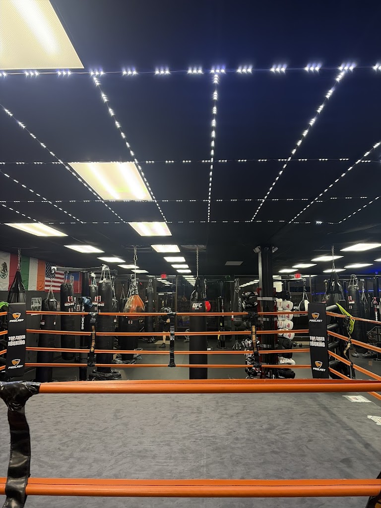  TOP TIGER TEAM BOXING