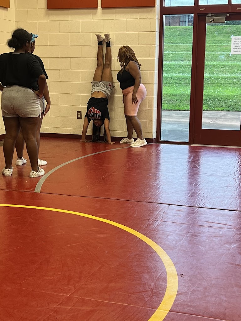  Precision Youth Outreach / Precision Cheer