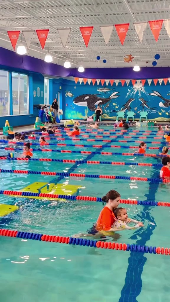  Goldfish Swim School - Centereach