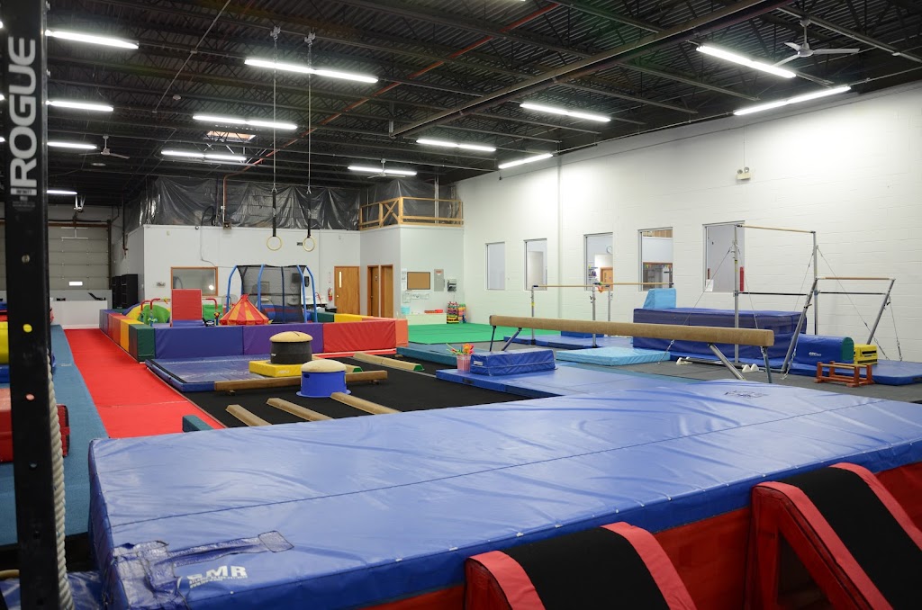  ALL AROUND GYMNASTICS