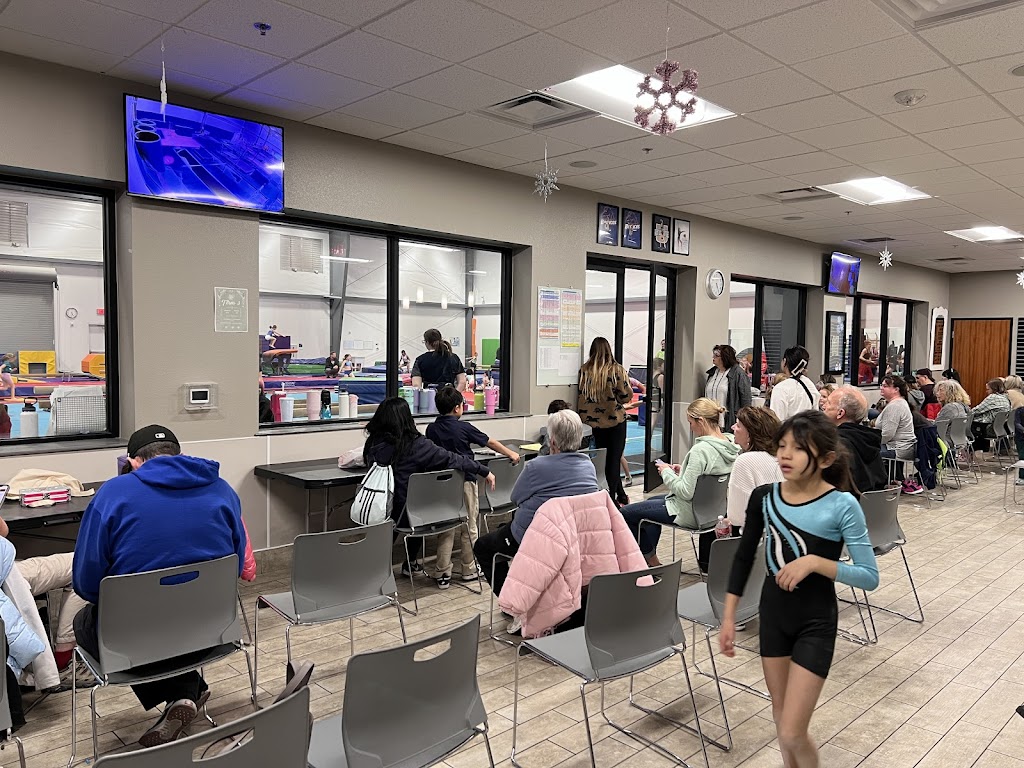  Desert Gymcats Flip 'N Twist