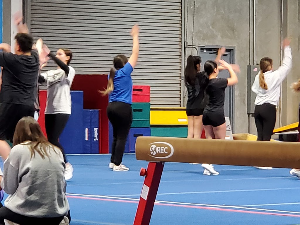  Pacific Flips Santa Maria