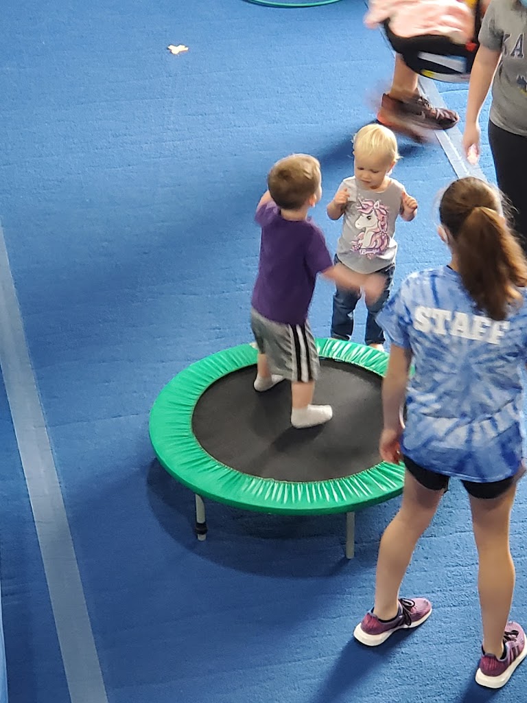  Evolution Tiny Tumblers