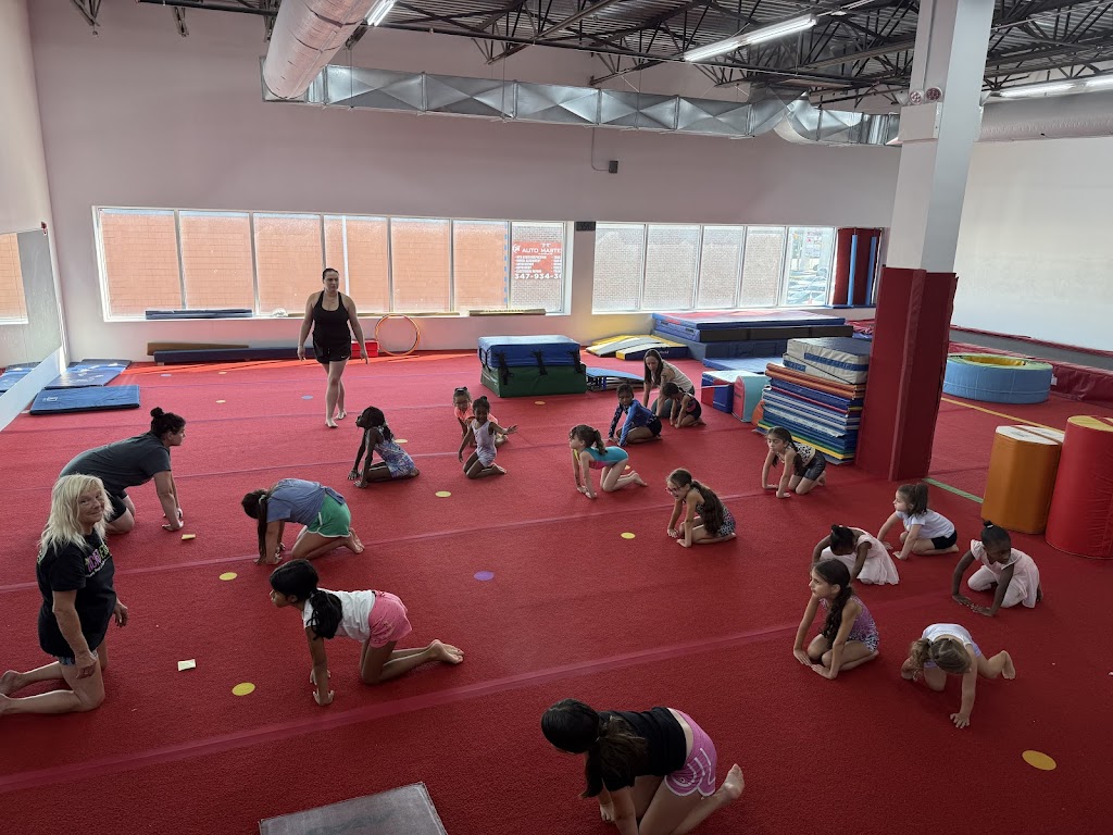  The EDGE Gymnastics by Athletic Edge