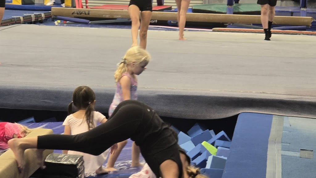  Magdalena Ecke Family YMCA Gymnastics Center