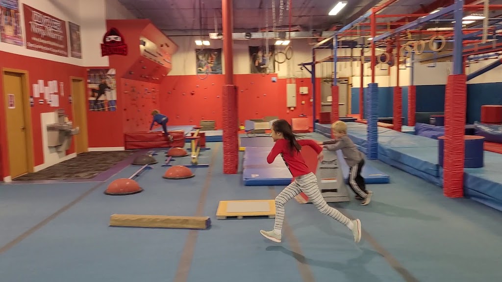  Conquer Ninja Gyms - Blaine