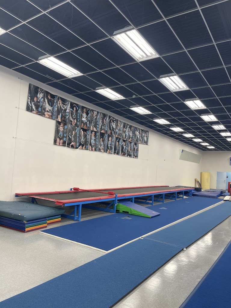  Vicki's School of Gymnastics