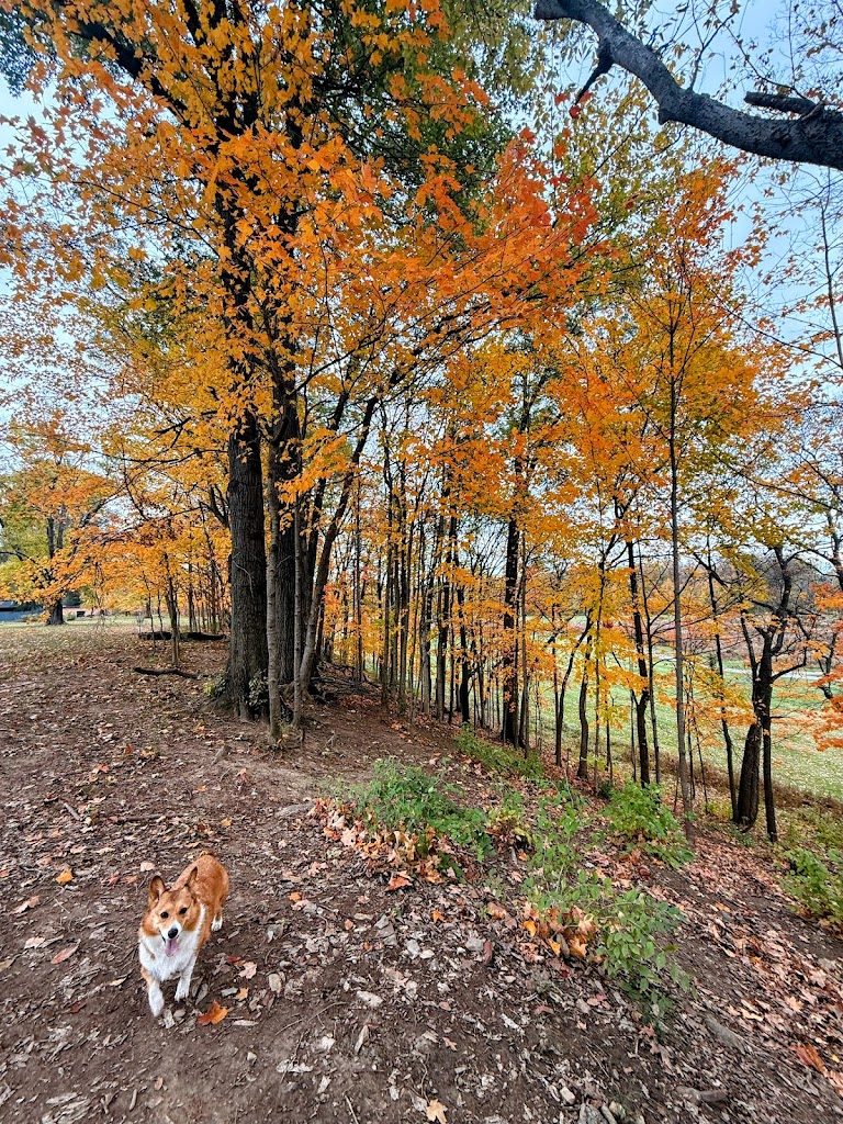  Whitehall Community Park YMCA - YMCA of Central Ohio