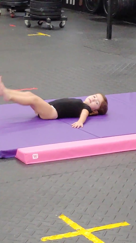  Gymnastics Palace Miami Lakes