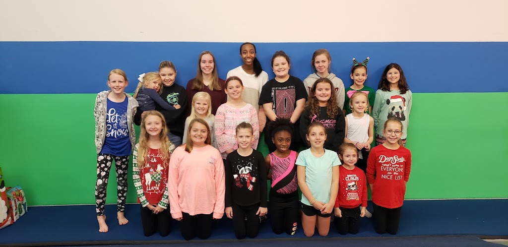  Lisa's Dance Dimension & Next Dimension Gymnastics