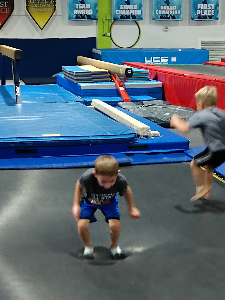  Ultimate Gymnastics & Cheerleading