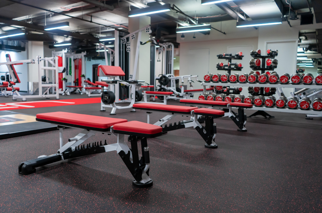  Ultimate Performance Personal Trainers