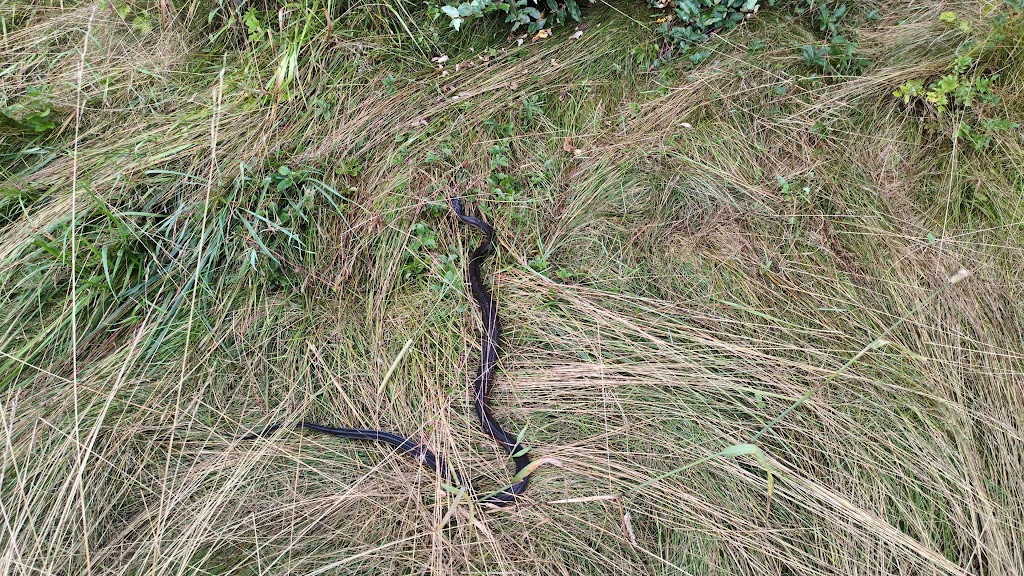  Oak Shadows Golf Club