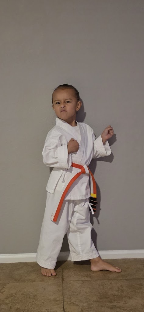  Sunrise Taekwondo Inc