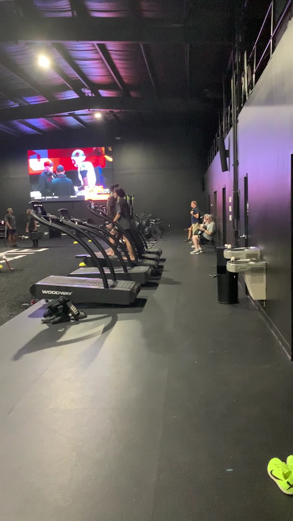  Yo Murphy Performance