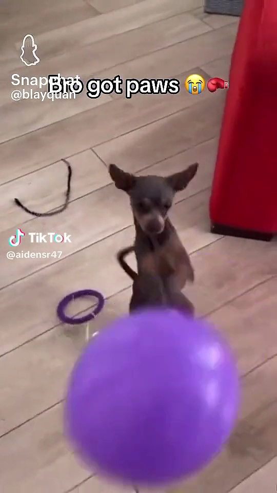  Craycraft Boxing Camp