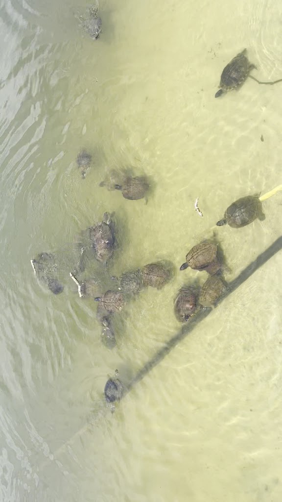  The Villages at Ocean Hill Fitness Center