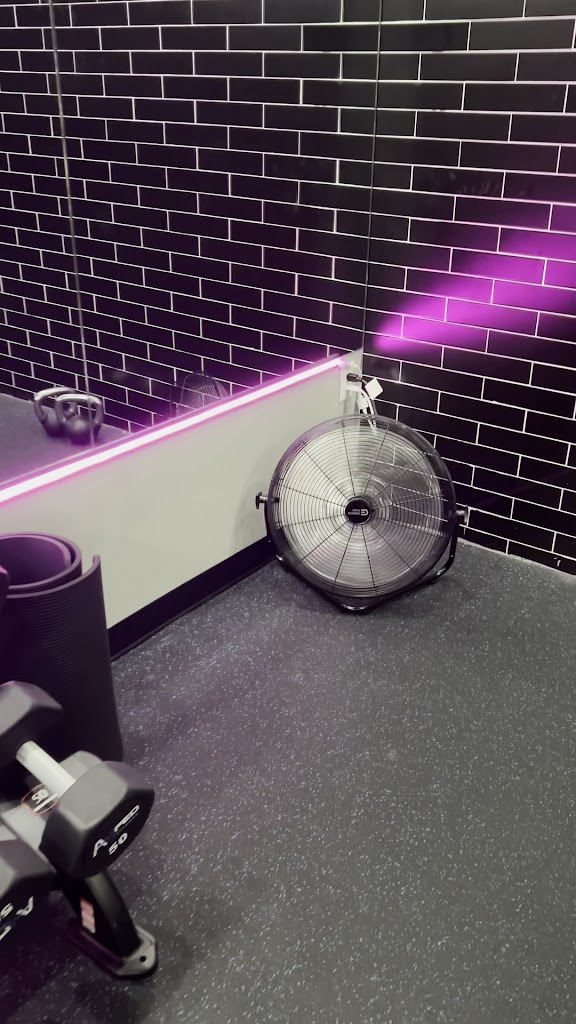  Amped Fitness (Carrollwood)