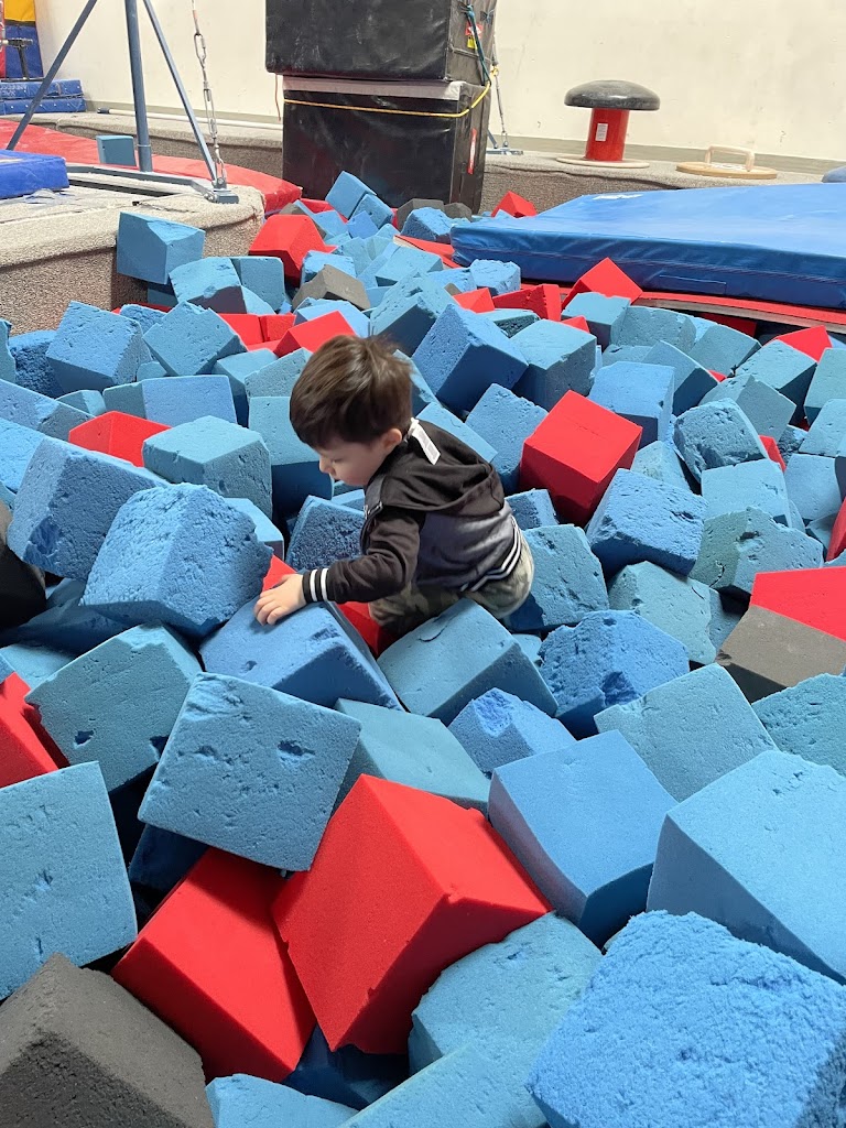  Rising Star Gymnastics