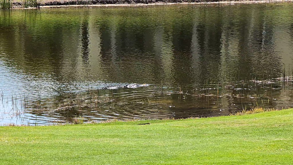  The Rookery at Marco