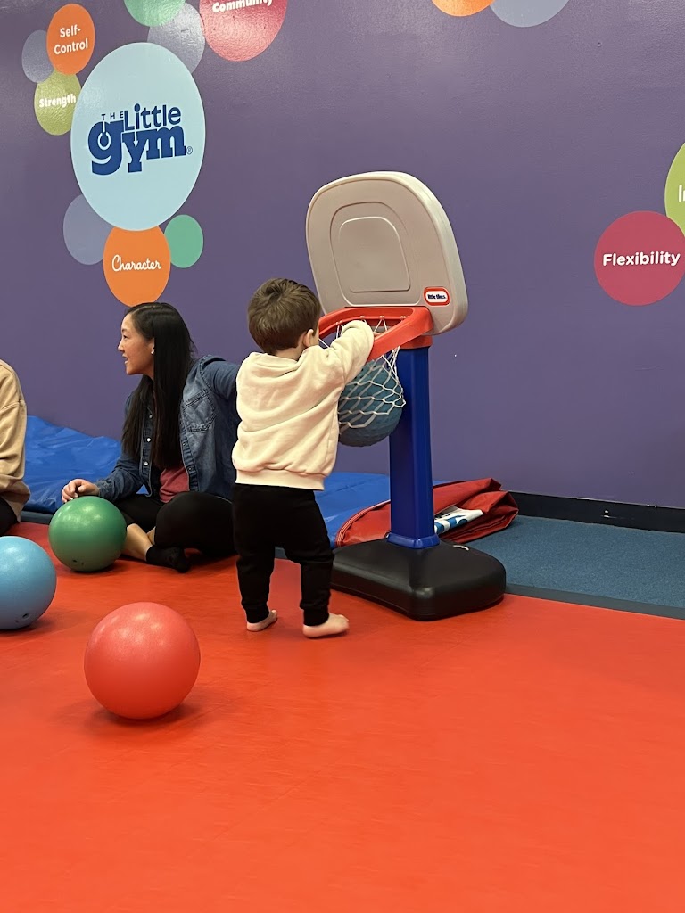  The Little Gym of Pittsburgh-South Hills