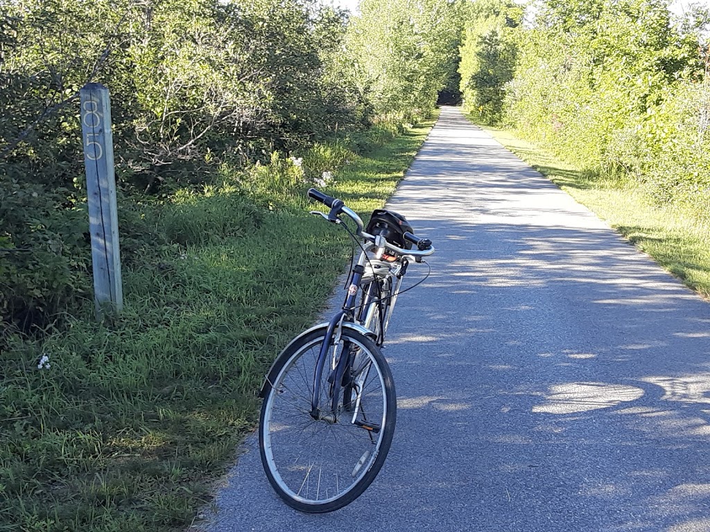  White Pine Trail Parking - Cadillac