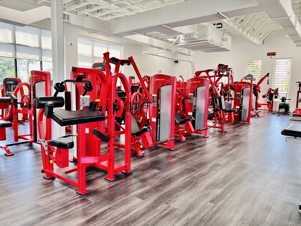 Apex Fit