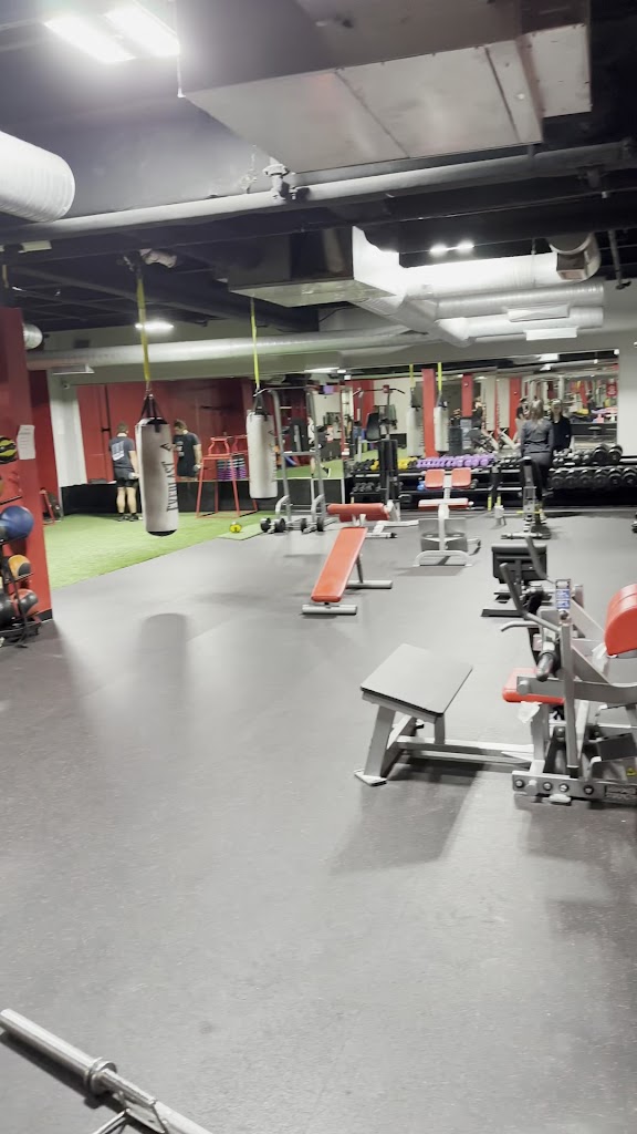  Snap Fitness Mt. Airy