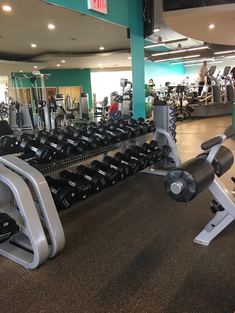  VIVE Health & Fitness