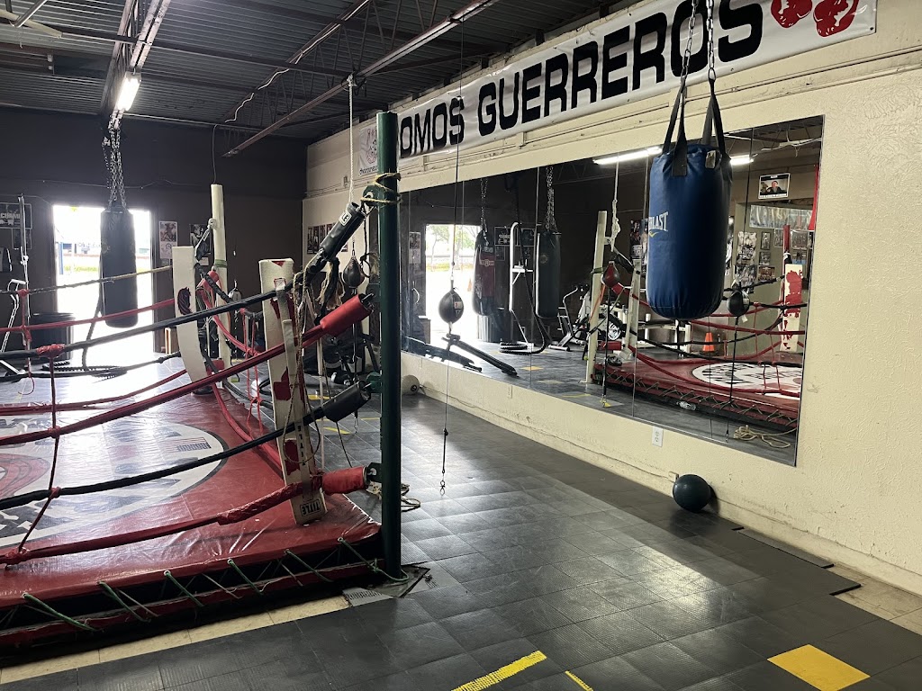  Dark Horse Boxing Academy