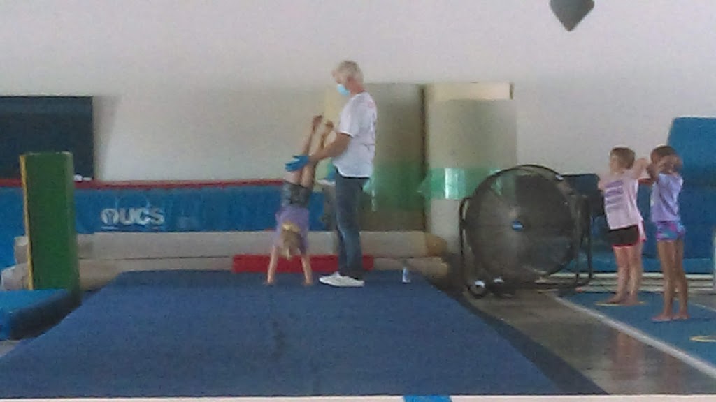  Charles Harding Gymnastics