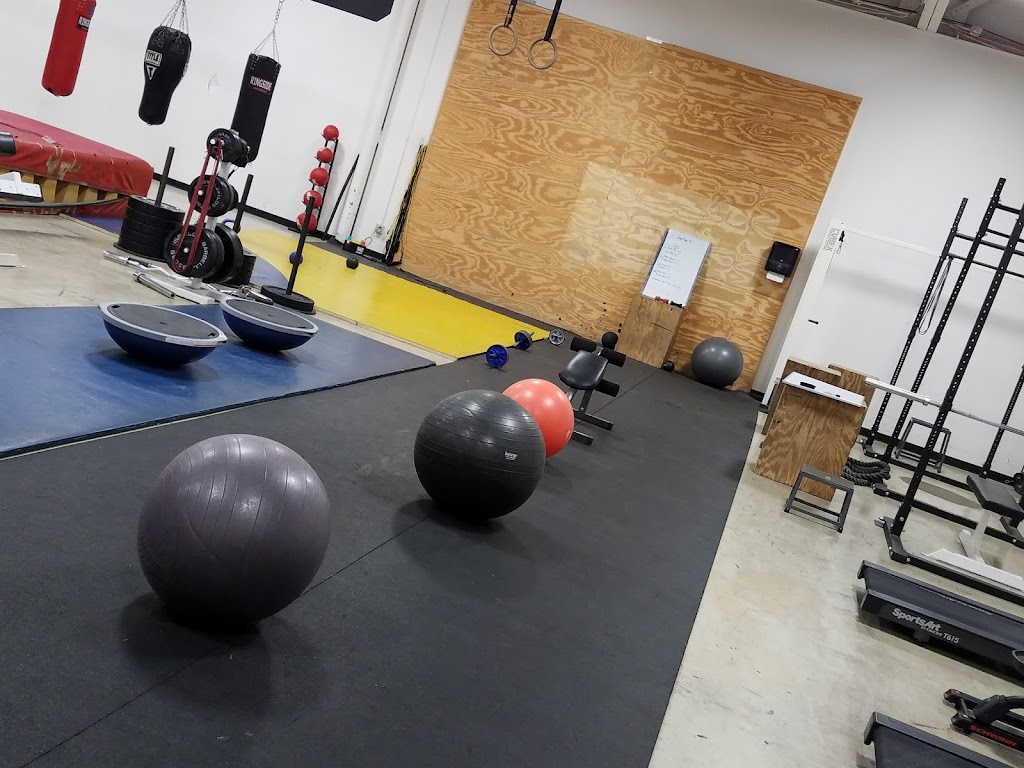  Nasty Knuckles boxing