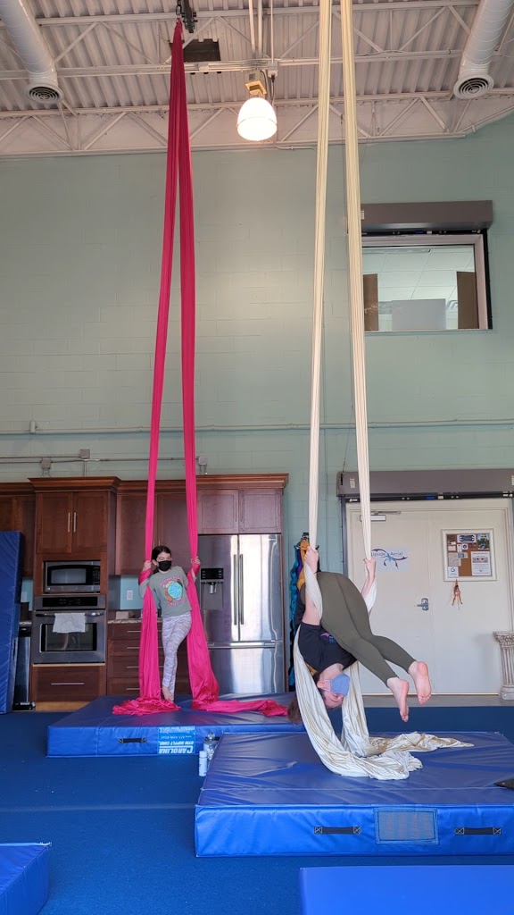 Upside Aerial Arts & Fitness