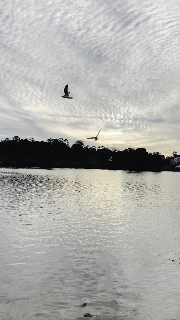  Rowing Club of the Woodlands