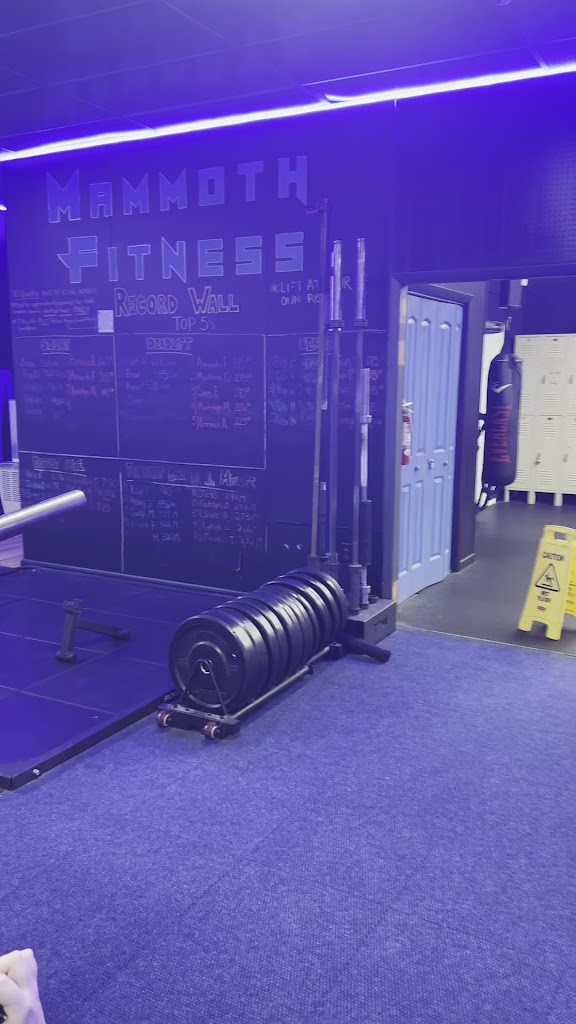  Mammoth Fitness