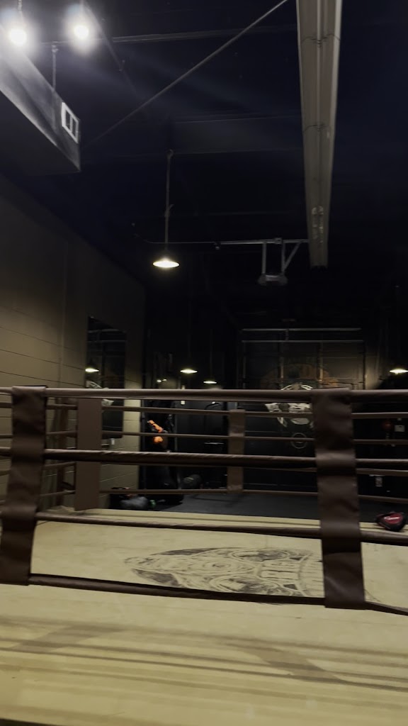  BIG MONKEY BOXING GYM