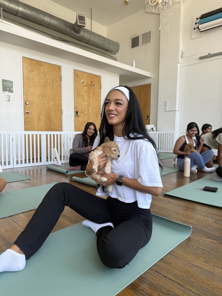  Puppy Sphere | Puppy Yoga (Dallas)
