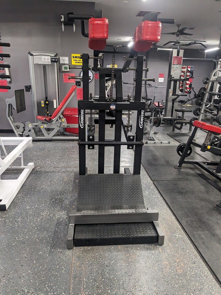  Body Construction Fitness