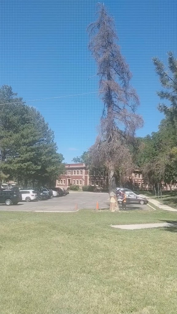  Spence Eccles Ogden Community Sports Complex