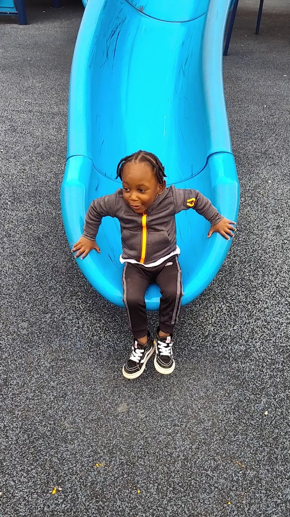  Cgla Hutton Gymnasium