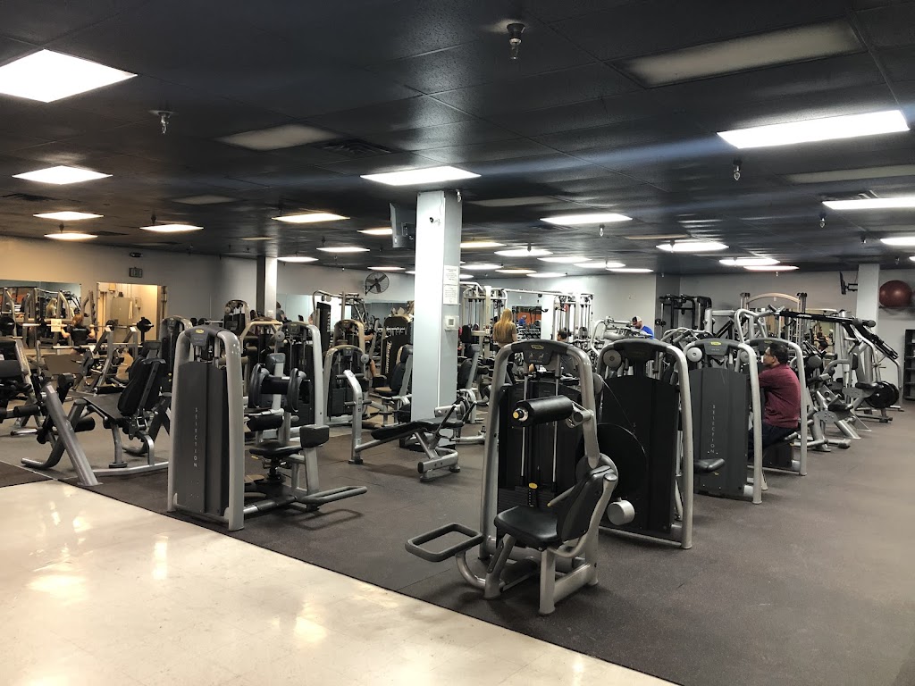  Body Evolution North