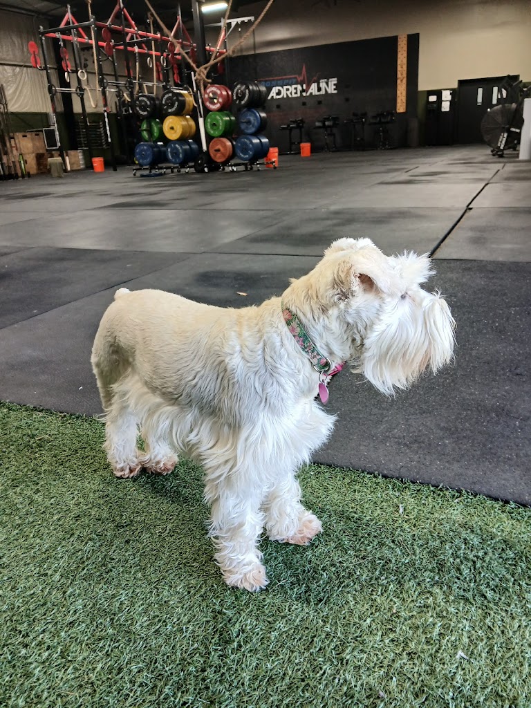  Cartersville Strength and Fitness