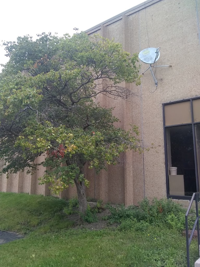  3D School of Gymnastics