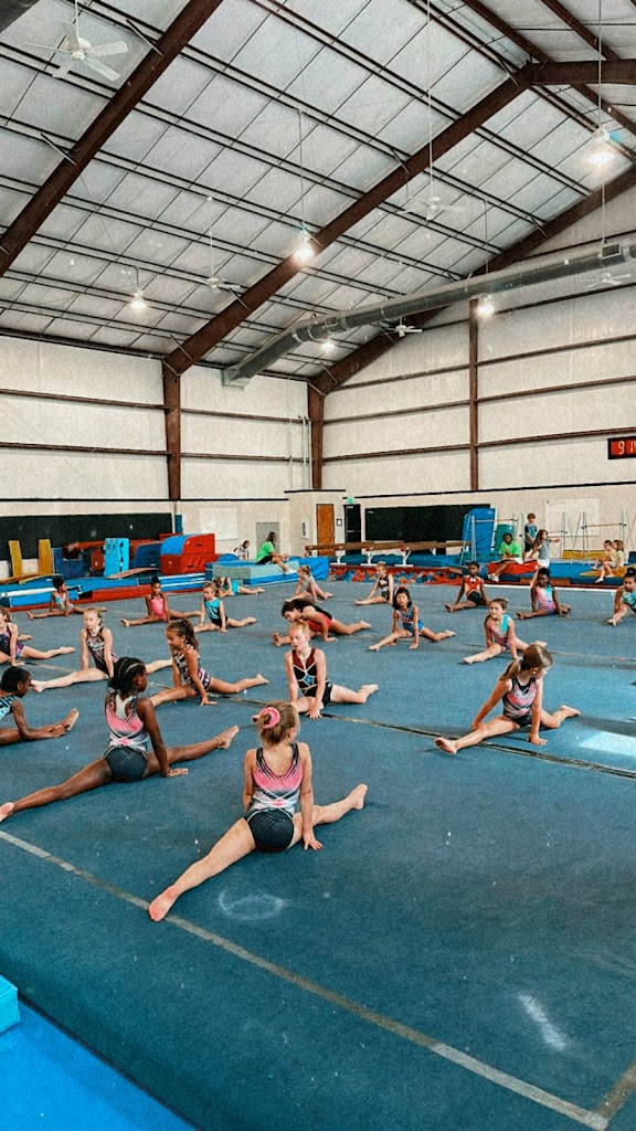  Vision Gymnastics