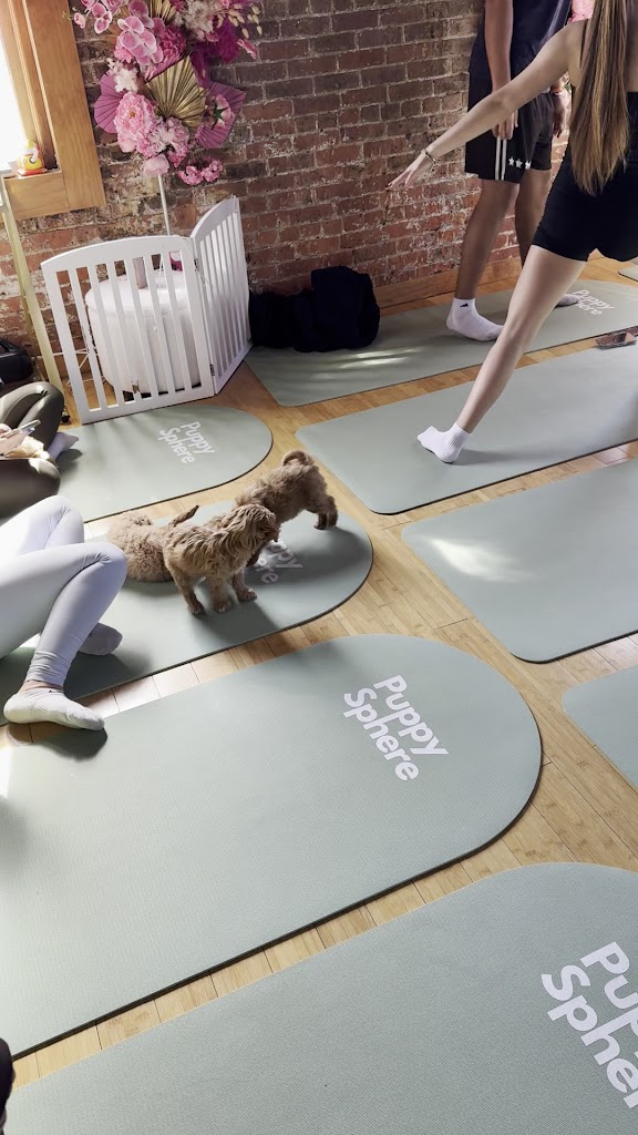  Puppy Sphere | Puppy Yoga (Long Island)