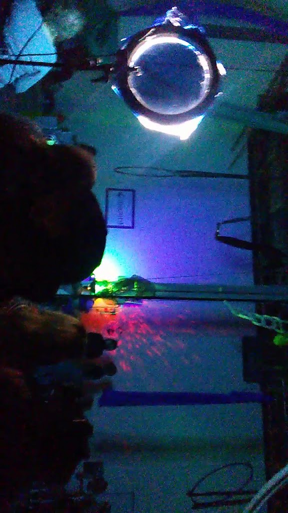  Crescent City Aerial Arts