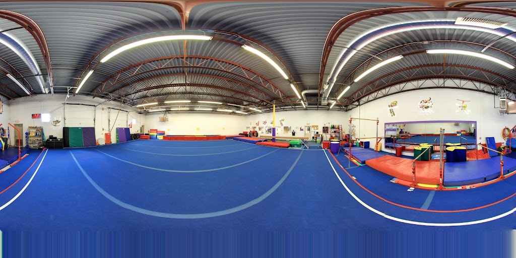  Flippers Gym Program